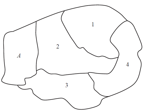 A map showing five regions. One is labelled A, and the others are numbered 1, 2, 3, and 4.