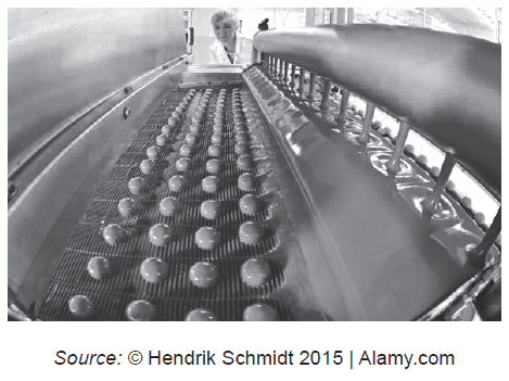 Automated assembly line for chocolates