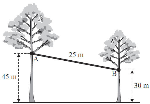 Two trees connected by a cable.
