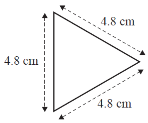 An equilateral triangle with all side lengths marked as 4.8 cm.