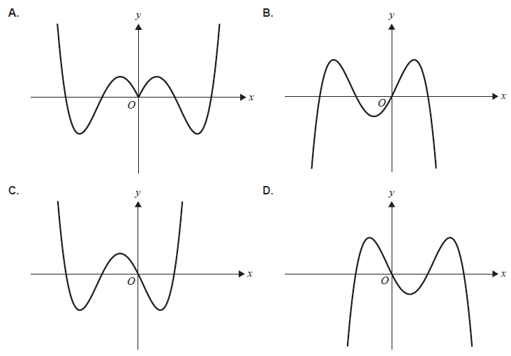 Options for Composite Function Graph